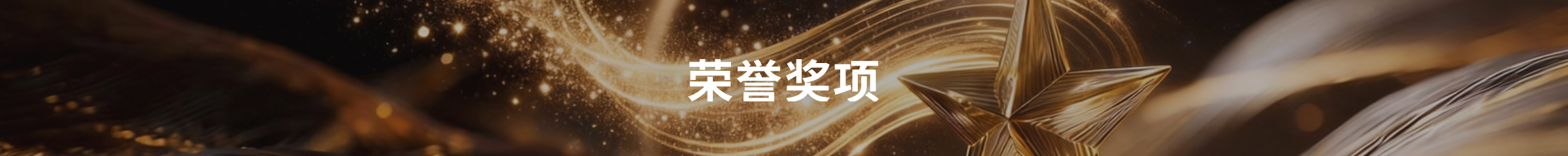 奖项与荣誉 - Carey Tan