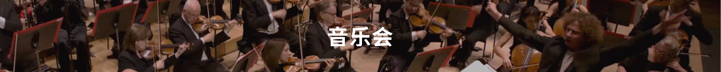 谭凯岳（Carey Tan）音乐会 - Carey Tan